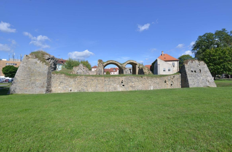 Lipý